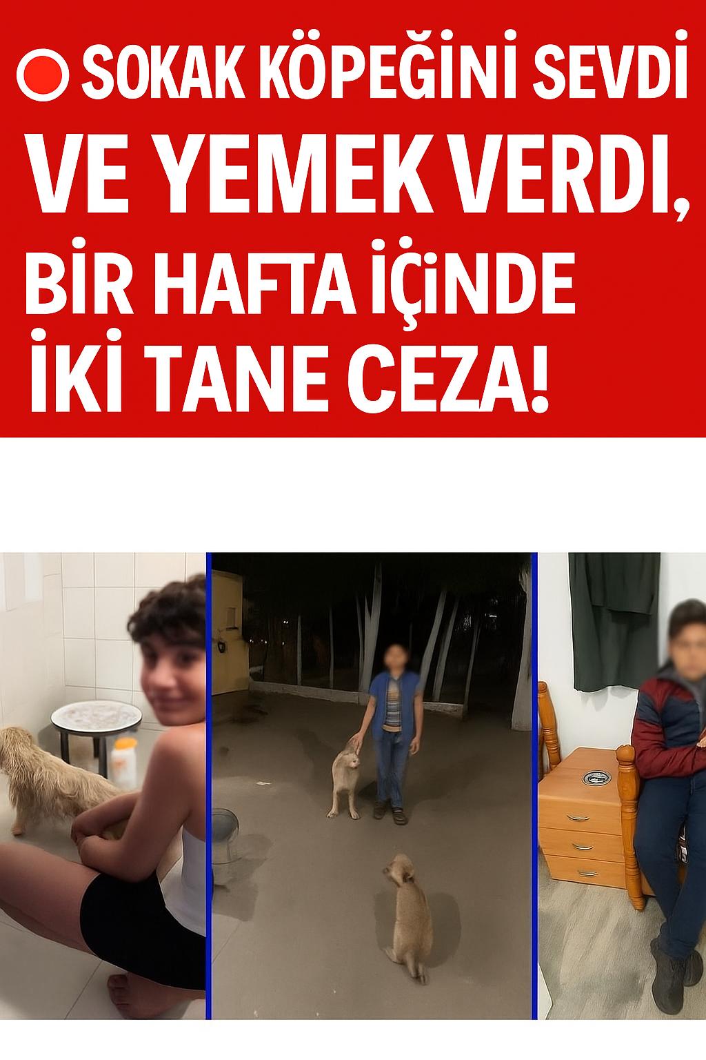 Spor Haberleri