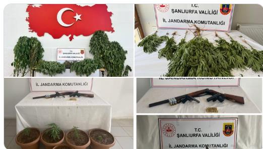 Şanlıurfa’da Uyuşturucuya Geçit Yok: Jandarmadan 3 İlçede Eş Zamanlı Operasyon!