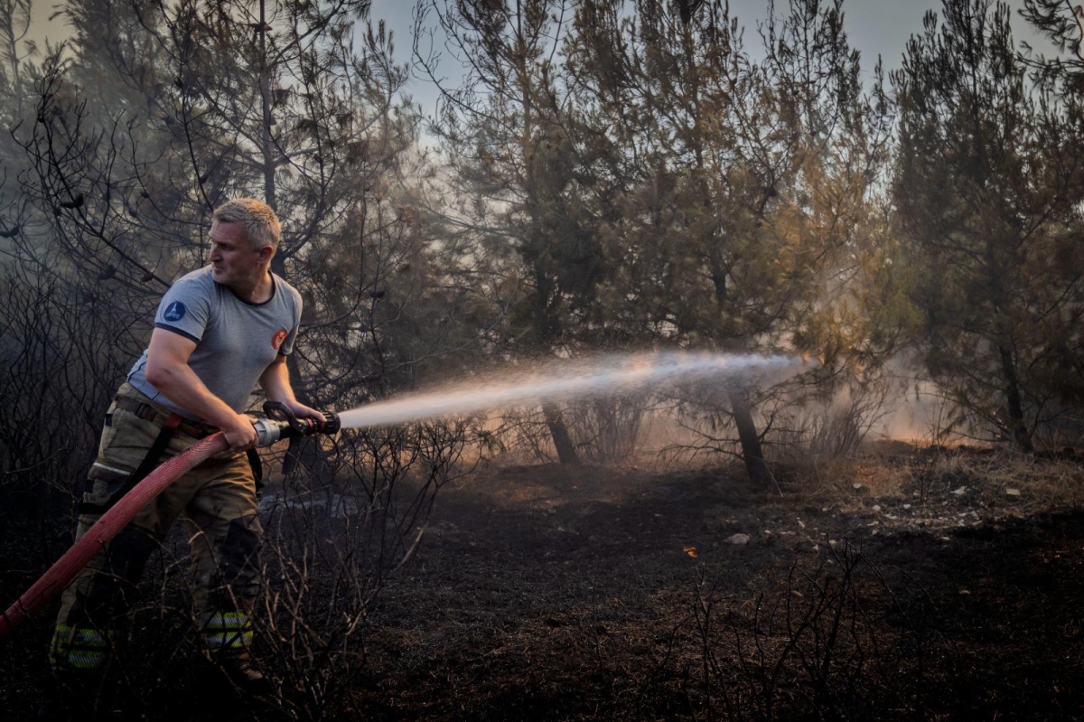 Aliağa ve Foça’da yangınla mücadele sürüyor