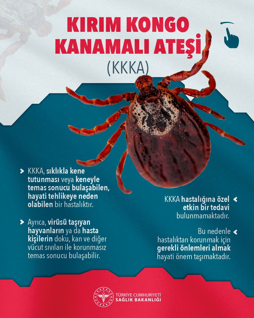 Kırım Kongo Kanamalı Ateşi (KKKA) Nedir?