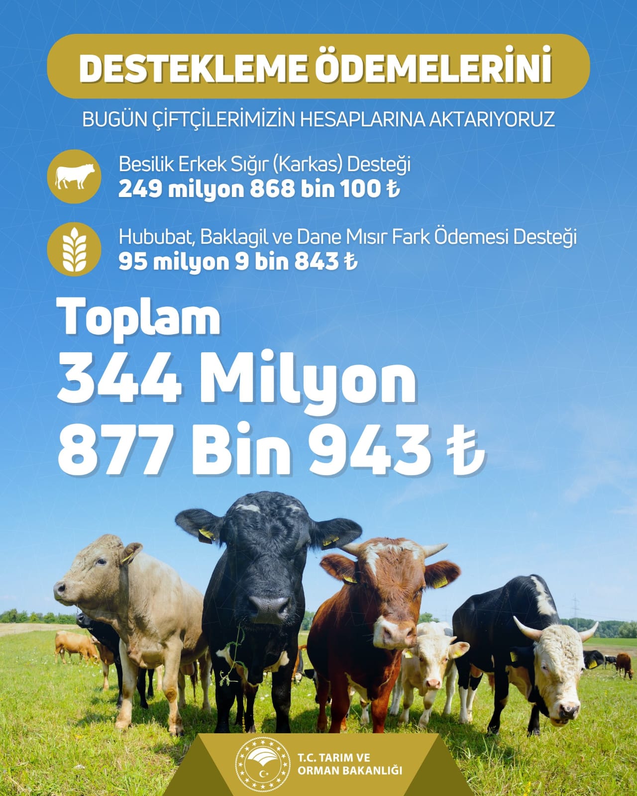 Tarım ve Orman Bakanlığı'ndan Çiftçilere Müjde! 344 Milyon TL Destekleme Ödemesi Hesaplara Yatırılıyor