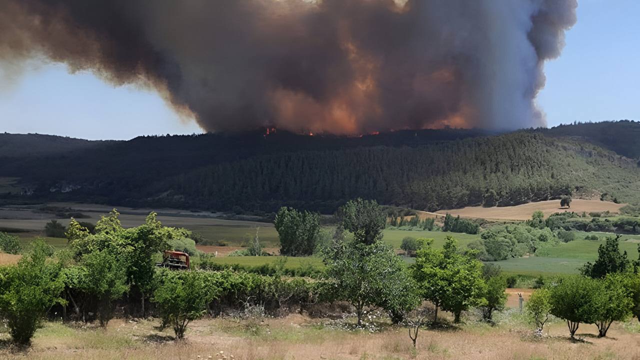 Adana'da Orman Yangınlarına Sebep Olan 3 Kişi Tutuklandı