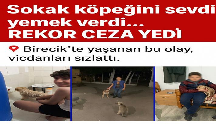 Bir Lokma Ekmek 76 Bin TL’ye Mal Oldu: Hayvan Sevgisi Cezalandırıldı mı?
