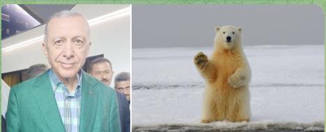 Cumhurbaşkanı Erdoğan’ın İmzasıyla “Kutup Bölgeleri Koordinasyon Kurulu” Kuruldu