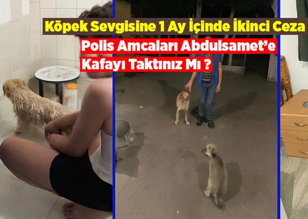 Vicdan Değil Ceza Konuştu: Birecik’te Hayvan Sevgisi Cezalandırıldı!