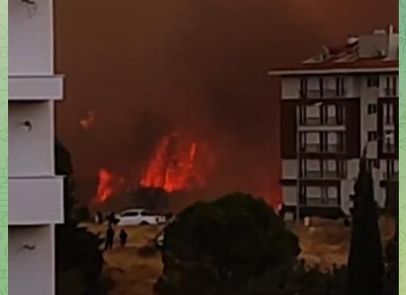 Çanakkale'deki Orman Yangını Yerleşim Yerlerini Tehdit Ediyor