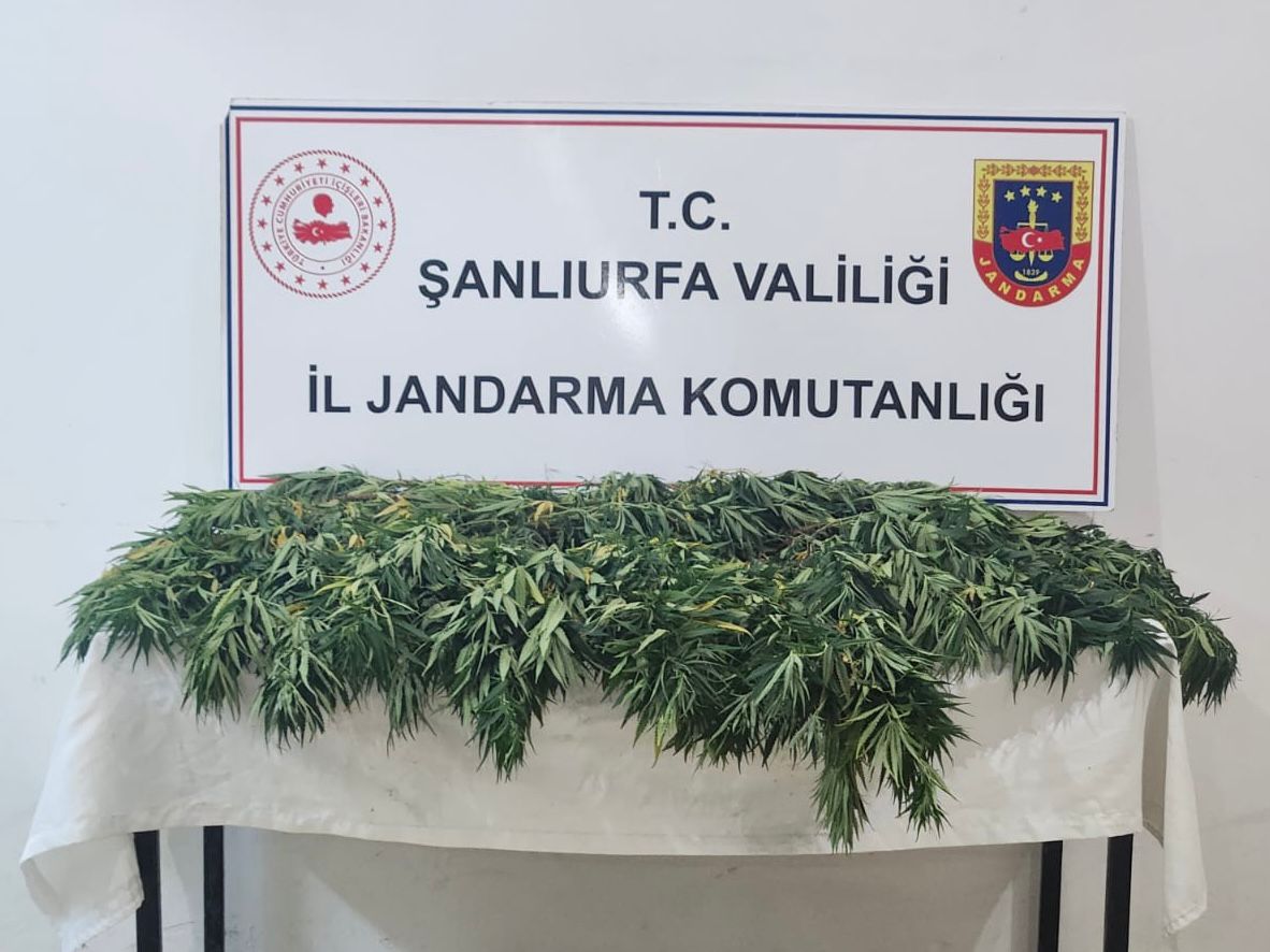 Şanlıurfa’da Jandarmadan Uyuşturucu Operasyonu: 2 Gözaltı