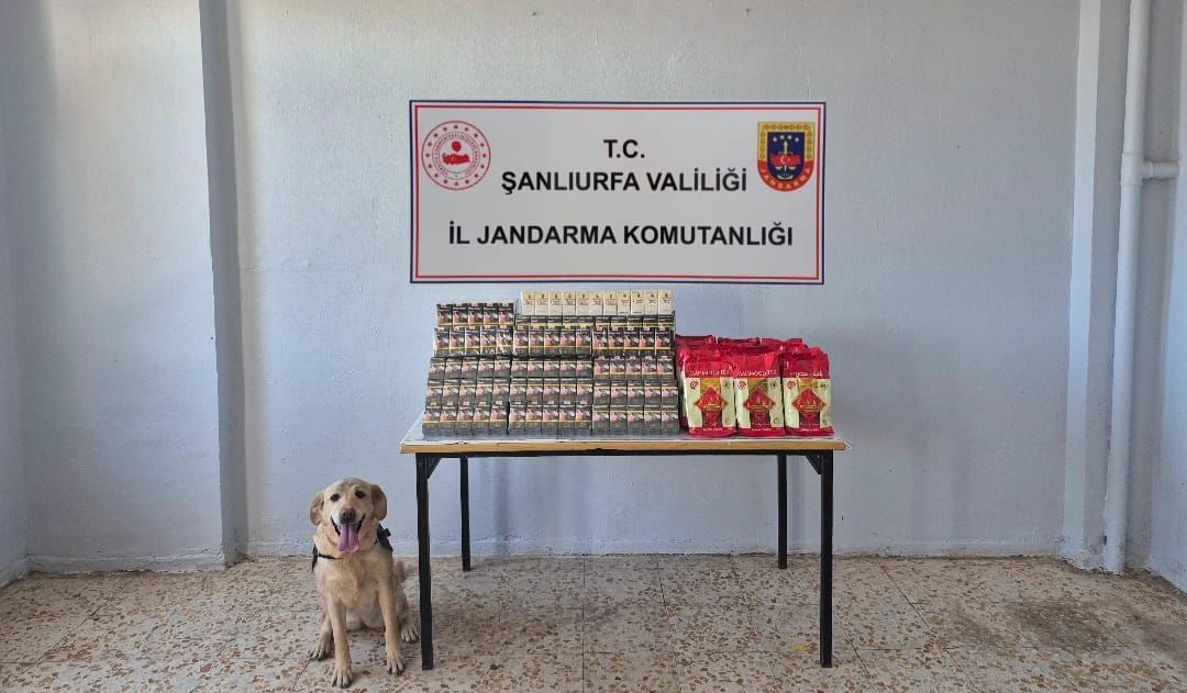 Şanlıurfa’da Jandarmadan Kaçakçılara Darbe