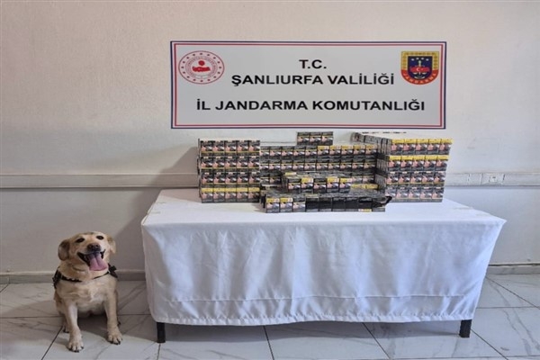 Şanlıurfa'da tütün ve alkol kaçakçılarına yönelik çalışmalar gerçekleştirildi