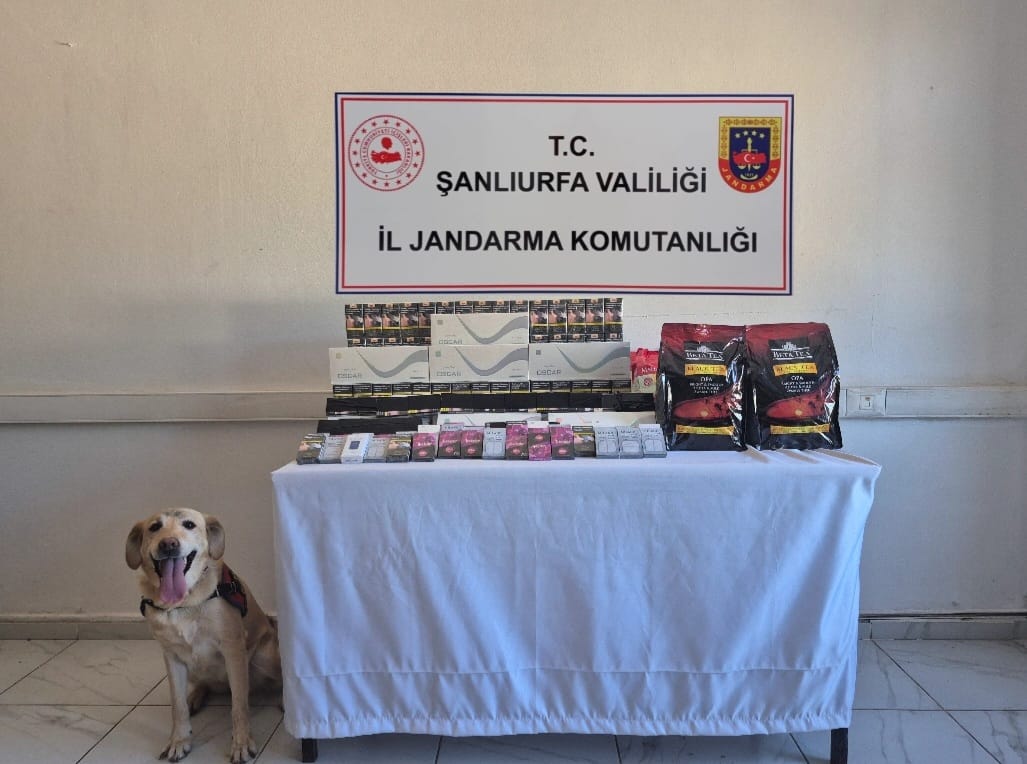 Viranşehir’de Kaçakçılara Darbe: Jandarmadan “Şok Yol Araması” Operasyonu
