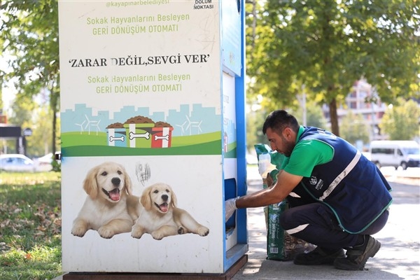 Kayapınar Belediyesi'nden sokak hayvanlarına mama ve su hizmeti