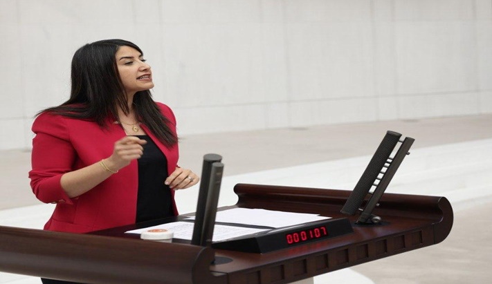Şanlıurfalı Milletvekili Dilan Kunt Ayan’dan Fıstık İthalatı Tepkisi