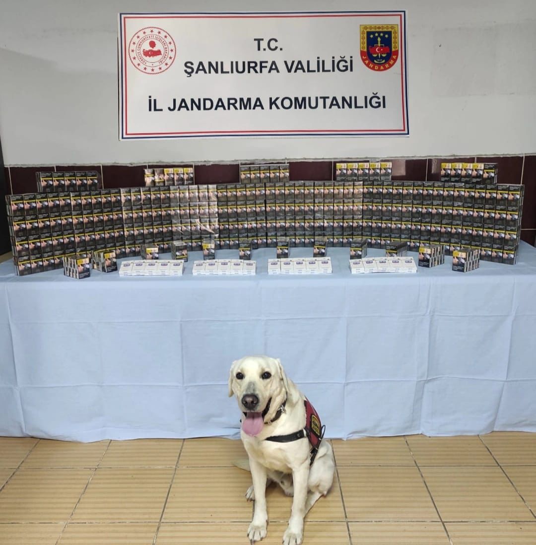 Viranşehir’de Kaçak Sigara Operasyonu: 1320 Paket Ele Geçirildi