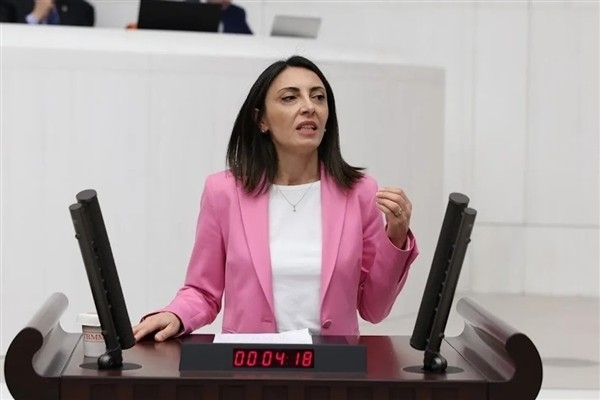 Kayışoğlu: İnsan hakları ihlalleri artıyor ancak denetim mekanizmaları işlevsiz halde