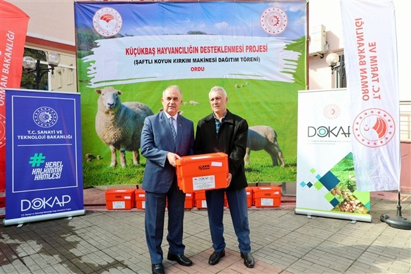 Ordu'da koyun yetiştiricilerine şaftlı kırkım makinesi dağıtımı yapıldı