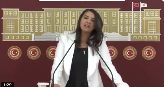 DEM Partili Milletvekili Dilan Kunt Ayan: “TOKİ Urfa’da Meraları Arsaya Çeviriyor”