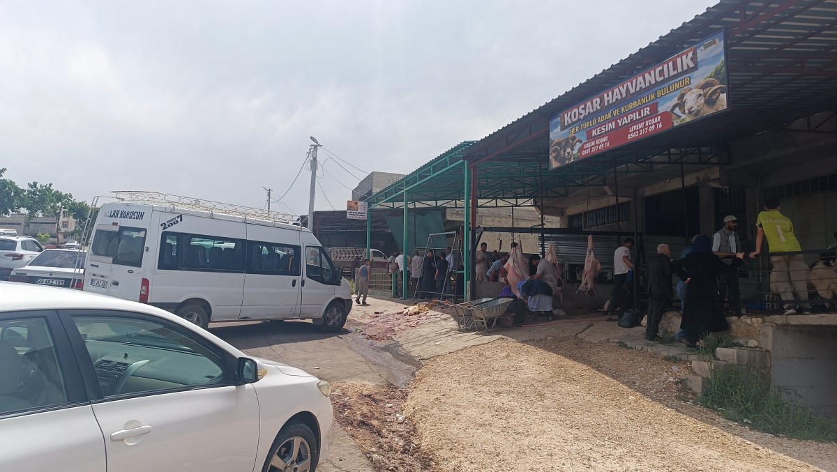 Kurban Bayramı’nın İkinci Gününde Şanlıurfa Hayvan Pazarlarında Yoğunluk Devam Ediyor
