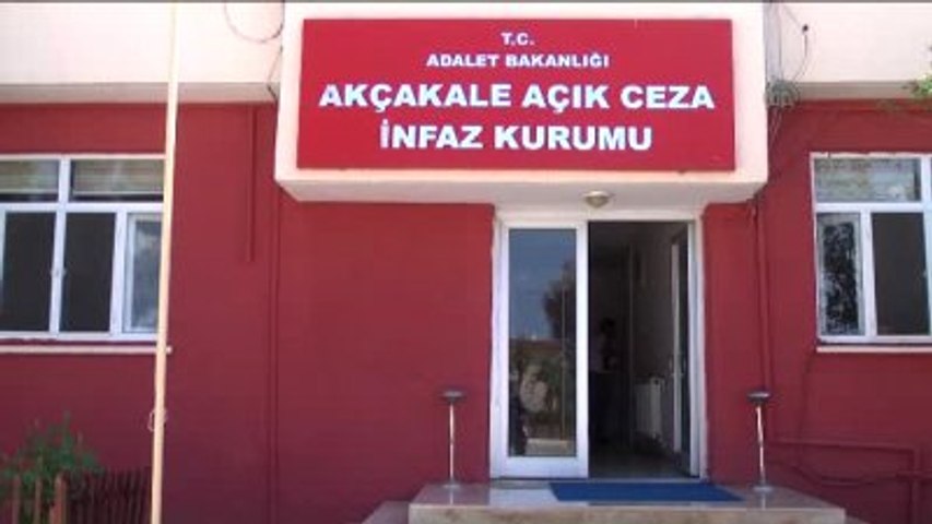 Akçakale Açık Cezaevi'nde Büyük Değişim: Üretim, Eğitim ve Rehabilitasyon Bir Arada