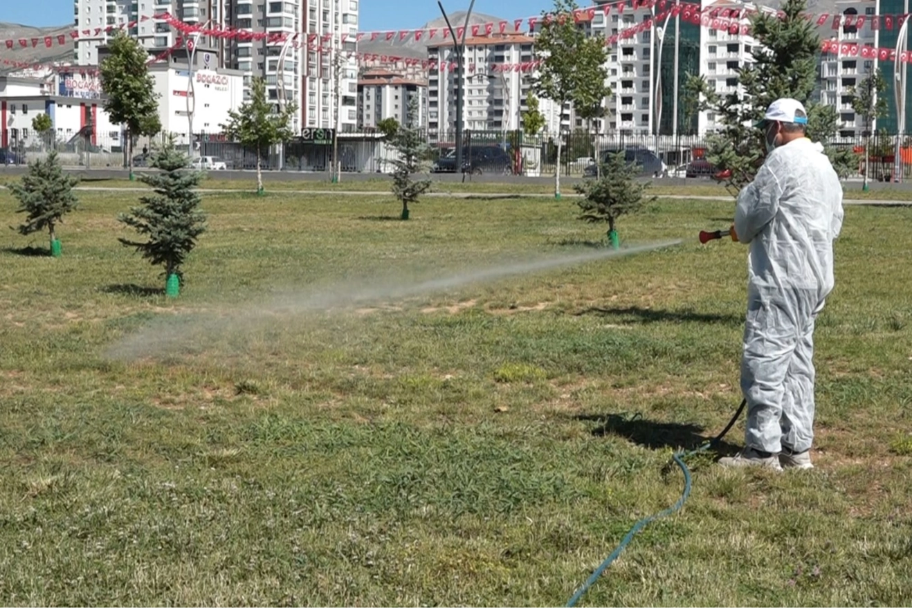 Malatya’da Vektörle Mücadele Çalışmaları Yoğunlaştırıldı