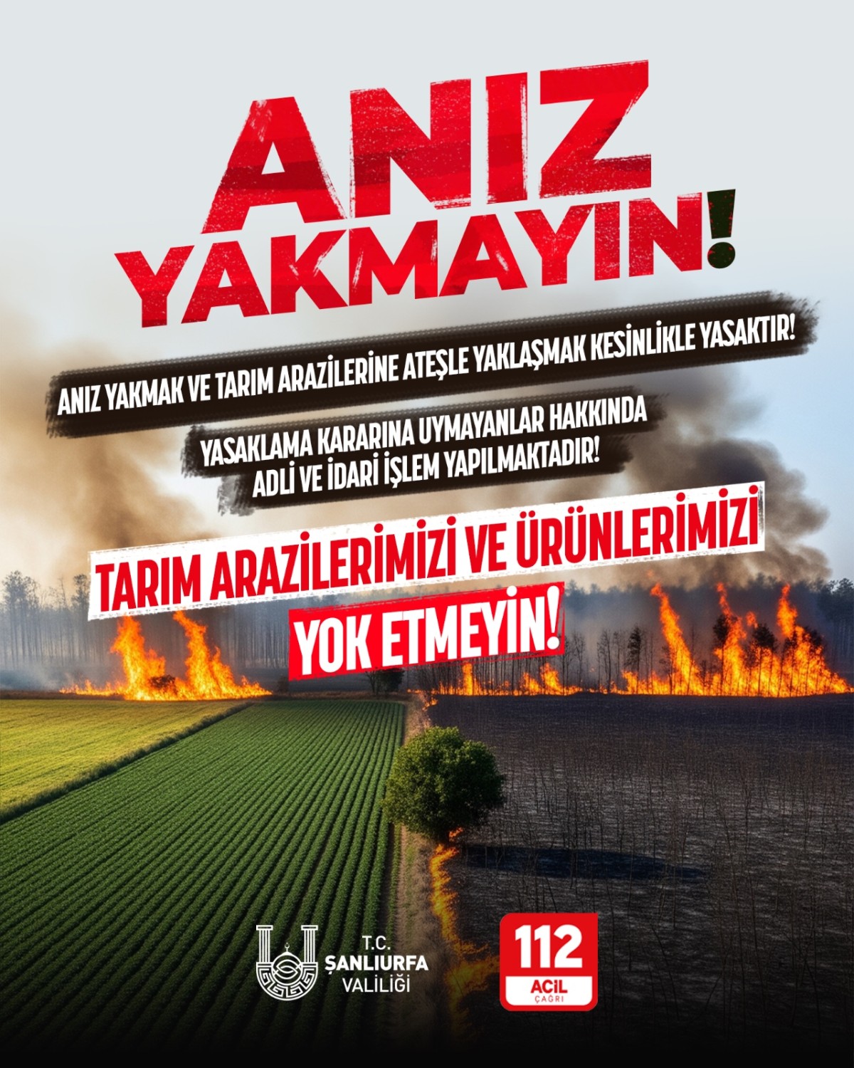 Vali Şıldak: 