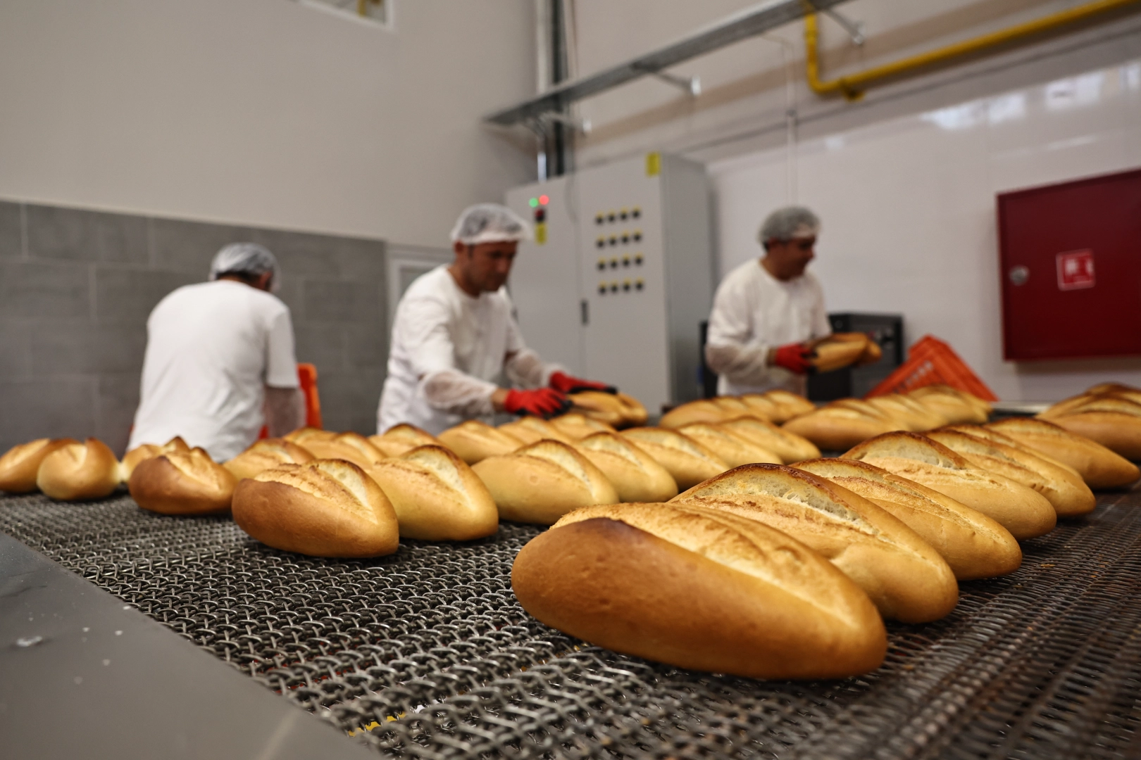 EKDAĞ Halk Ekmek’ten 4 yılda 30 milyonu aşkın üretim