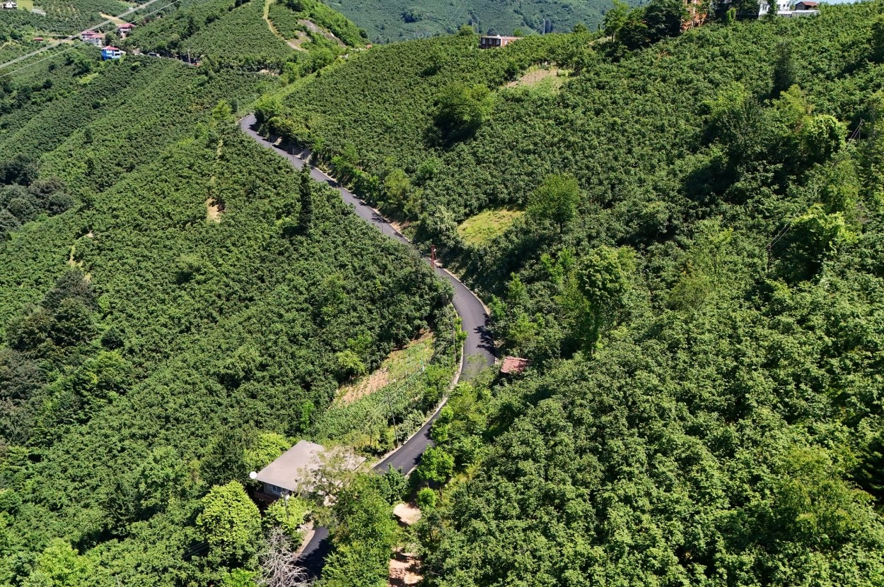 Ordu’da Kırsal Ulaşım Güçleniyor