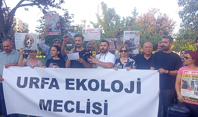 Şanlıurfa barınaklarında tartışma yaratan iddalar