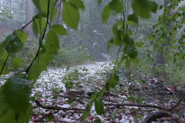 Meteoroloji'den Kastamonu ve Sinop için kuvvetli yağış uyarısı