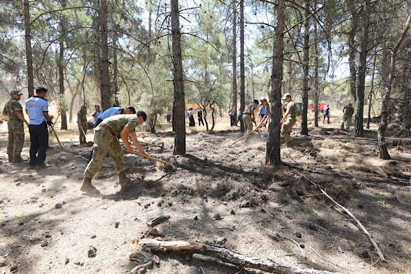 Burç Ormanı’nda yangın riskine karşı temizlik çalışması yapıldı