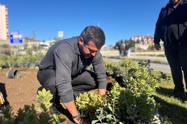 Karabük’te 18 binden fazla fidan dikildi