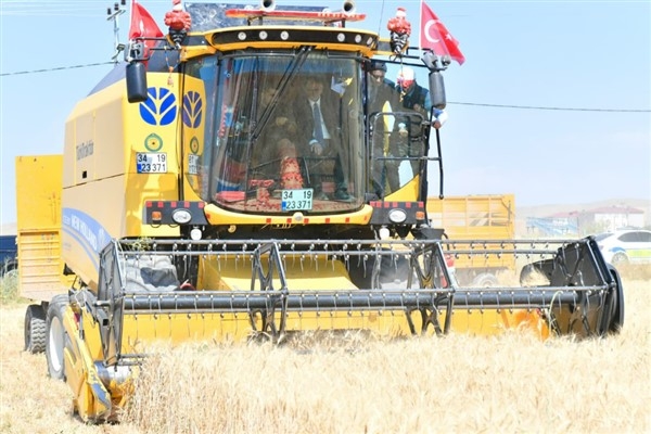 Van'da buğday hasat sezonu başladı