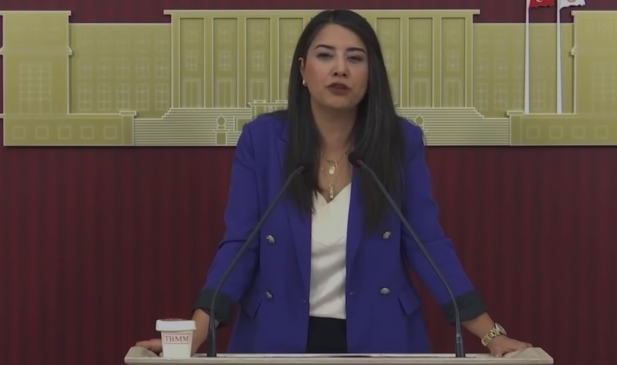DEM Partili Dilan Kunt Ayan: 