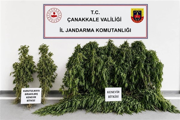 Çanakkale’de uyuşturucu operasyonu