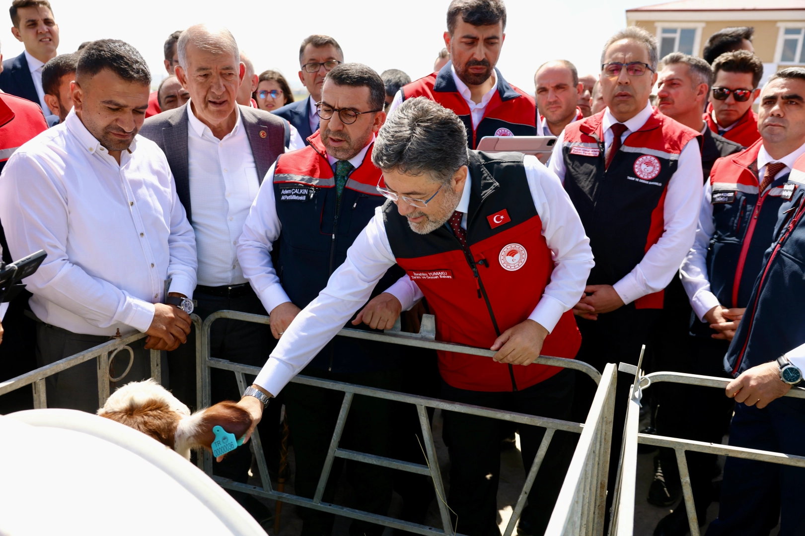Büyükbaş Hayvanlara Dijital Kimlik: GEKİS Kars’ta Başladı