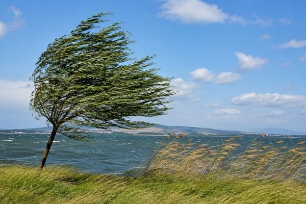 Meteoroloji’den kuvvetli rüzgar uyarısı: Hızı 60 kilometreye ulaşacak
