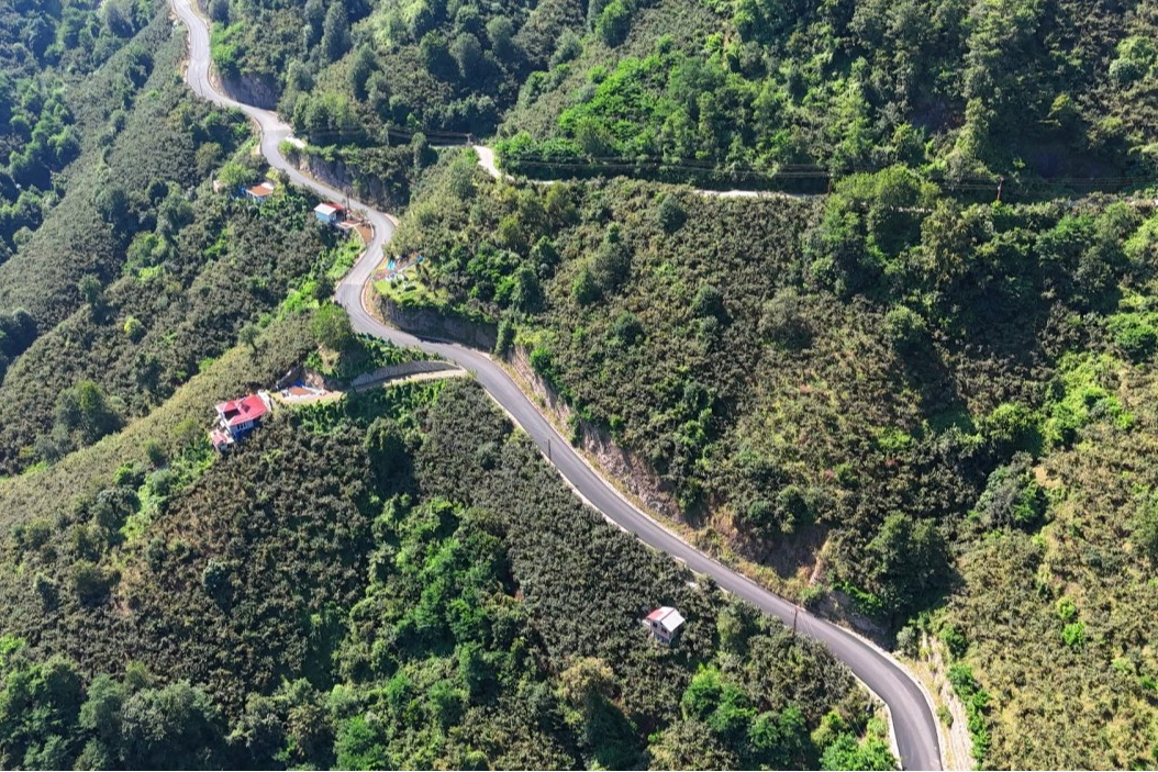 Ordu’da Yıllardır Beklenen Yol Sorununa Kalıcı Çözüm