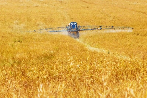 TÜRİB’de tarım ürünleri fiyatlarında haftalık yükseliş öne çıktı