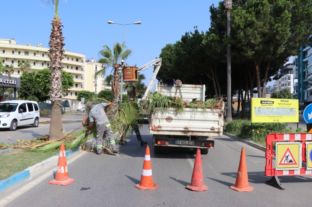 Alanya’da park ve yeşil alanlarda bakım çalışmaları sürüyor
