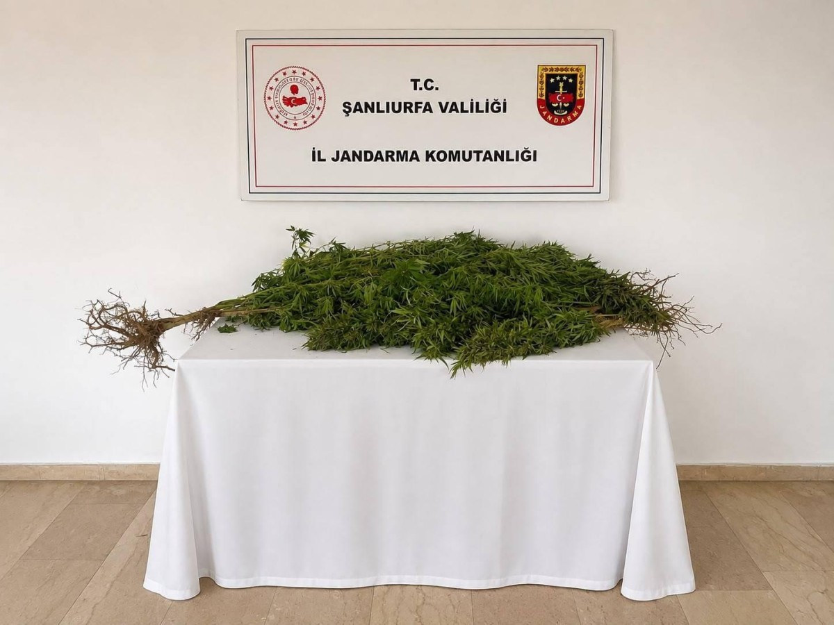Şanlıurfa’da Narkotik Operasyonu: 1 Gözaltı