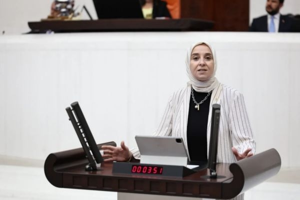 Esen’den çocuk tesliminde şiddet riskine karşı düzenleme çağrısı