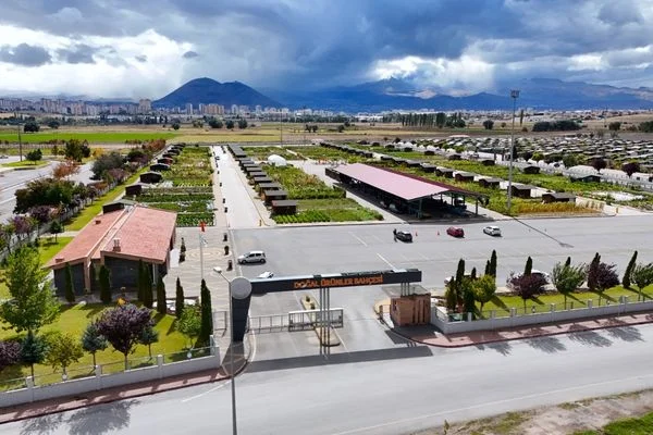 Pınarbaşı kimyonu için özel üretim alanı oluşturuluyor