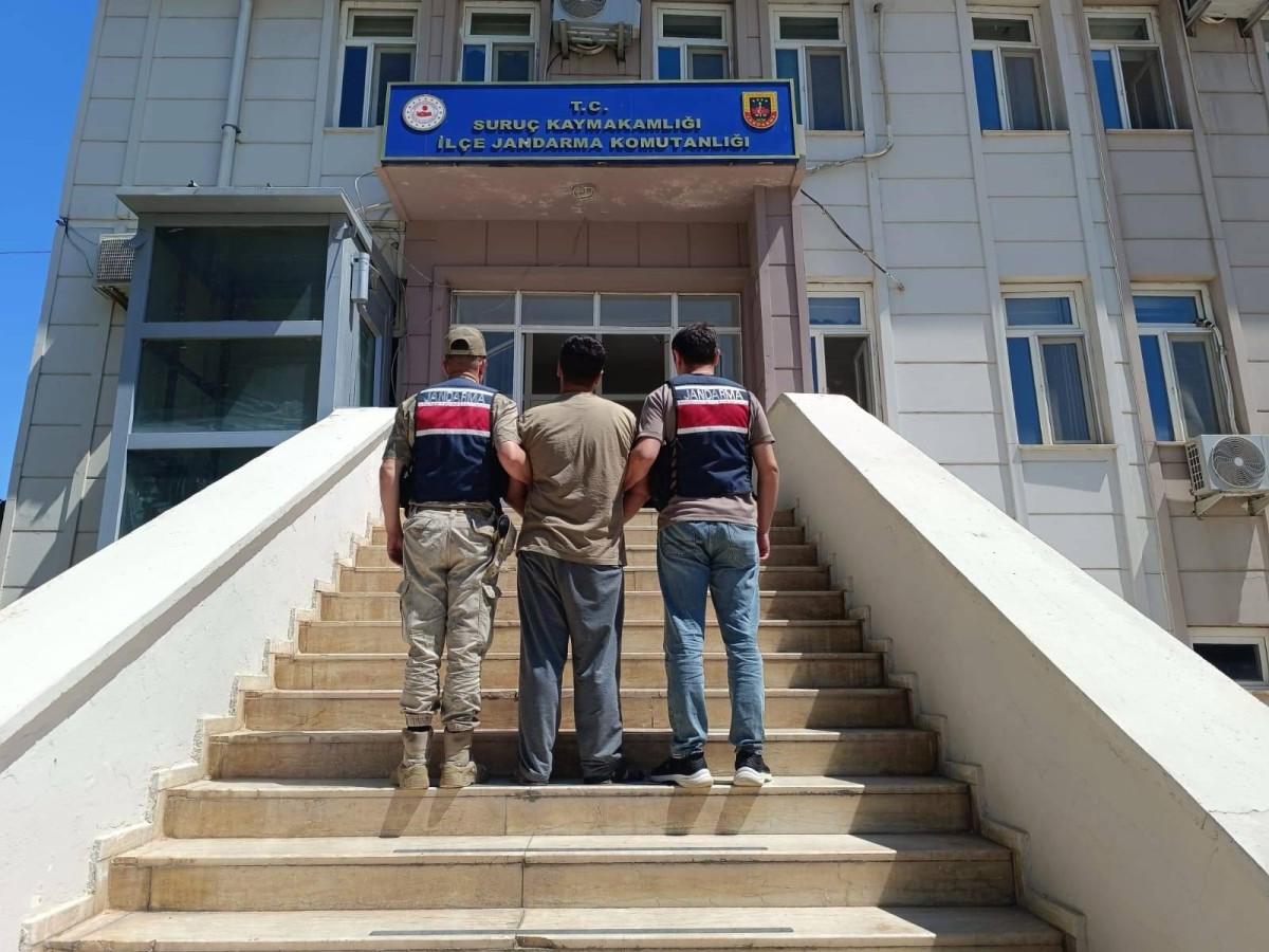 Şanlıurfa Jandarmasından Suç ve Suçlulara Geçit Yok: Aranan Hükümlü Yakalandı