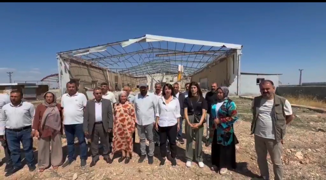 DEM Parti Urfa Milletvekili Dilan Kunt Ayan: 